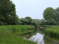 NL, Drenthe, Aa en Hunze, De Westerlanden 7, Saxifraga-Hans Boll