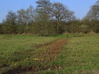 NL, Drenthe, Aa en Hunze, Drentsche Aa 10, Saxifraga-Hans Boll