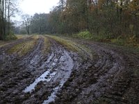 NL, Drenthe, Aa en Hunze, Drentsche Aa 108, Saxifraga-Hans Boll