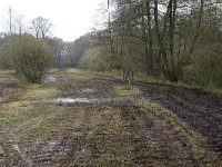 NL, Drenthe, Aa en Hunze, Drentsche Aa 136, Saxifraga-Hans Boll