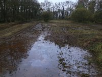 NL, Drenthe, Aa en Hunze, Drentsche Aa 138, Saxifraga-Hans Boll