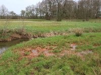 NL, Drenthe, Aa en Hunze, Drentsche Aa 4, Saxifraga-Hans Boll