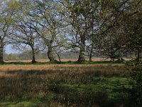 NL, Drenthe, Aa en Hunze, Drentsche Aa 49, Saxifraga-Hans Boll