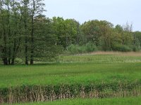 NL, Drenthe, Aa en Hunze, Drentsche Aa 54, Saxifraga-Hans Boll