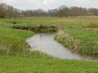 NL, Drenthe, Aa en Hunze, Gasteren, Drenthsche Aa 1, Saxifraga-Hans Dekker