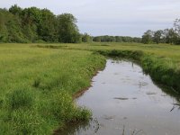 NL, Drenthe, Assen, Deurzerdiep 4, Saxifraga-Hans Boll