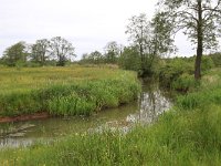 NL, Drenthe, Assen, Deurzerdiep 74, Saxifraga-Hans Boll