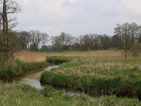 NL, Drenthe, Tynaarlo, De Heest 39, Saxifraga-Hans Boll