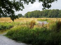 NL, Drenthe, Tynaarlo, Drentsche Aa 2, Foto Fitis-Sytske Dijksen