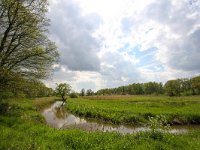 NL, Drenthe, Tynaarlo, Drentsche Aa, Oudemolen 1, Saxifraga-Bart Vastenhouw