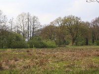 NL, Drenthe, Tynaarlo, Tynaarlose Diep 1, Saxifraga-Hans Boll