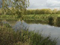 NL, Noord-Brabant, Sint Michielsgestel, Essche Stroom 2, Saxifraga-Jan van der Straaten