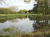 NL, Noord-Brabant, Sint Michielsgestel, Essche Stroom 4, Saxifraga-Jan van der Straaten