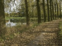 NL, Noord-Brabant, Sint Michielsgestel, Essche Stroom 5, Saxifraga-Jan van der Straaten