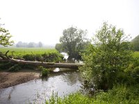 NL, Limburg, Gulpen-Wittem, Geuldal 5, Saxifraga-Bart Vastenhouw