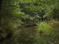 NL, Noord-Brabant, Oirschot, De Baest, Grote Beerze 3, Saxifraga-Marijke verhagen