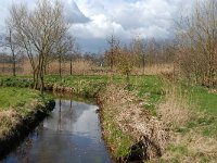 NL, Noord-Brabant, Bergeijk, Enderbeemden 6, Saxifraga-Marijke Verhagen