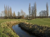 NL, Noord-Brabant, Bergeijk, Heijerdijk, Keersopbeemden 1, Saxifraga-Jan van der Straaten