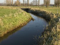 NL, Noord-Brabant, Bergeijk, Heijerdijk, Keersopbeemden 7, Saxifraga-Jan van der Straaten