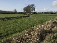 NL, Noord-Brabant, Bergeijk, Hoeker Beemden 5, Saxifraga-Jan van der Straaten