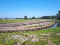 NL, Noord-Brabant, Bergeijk, Keersop between Westerhoven and Dommelen 1, Saxifraga-Tom Heijnen