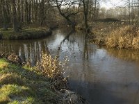 NL, Noord-Brabant, Waalre, De Elshouters, Dommel and Keersop 2, Saxifraga-Jan van der Straaten