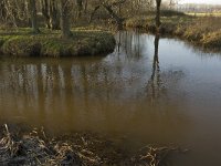 NL, Noord-Brabant, Waalre, De Elshouters, Dommel and Keersop 4, Saxifraga-Jan van der Straaten