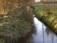 NL, Noord-Brabant, Bergeijk, Keunensloop 6, Saxifraga-Jan van der Straaten