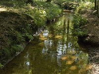 NL, Noord-Brabant, Oirschot, Kleine Beerze 19, Saxifraga-Jan van der Straaten