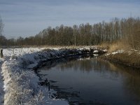 NL, Noord-Brabant, Eindhoven, Bokt, Kleine Dommel 6, Saxifraga-Marijke Verhagen