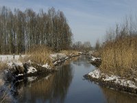 NL, Noord-Brabant, Eindhoven, Bokt, Kleine Dommel 8, Saxifraga-Marijke Verhagen