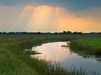 Sunrays are breaking through the clouds  Sunrays are breaking through the clouds above lowland nature reserve : Ald djip, Beetsterzwaag, Koningsdiep, Nature Conservation Policy, Netherlands, Opsterland, Van Oordt Mersken, Van Oordts Mersken, atmosphere, beek, beekdal, biotoop, bovenloop, cloud, clouds, cloudy sky, creative nature, creek, dramatic, environment, flow, friesland, green, groen, habitat, holland, landscape, landschap, licht, light, middenloop, middle stretch, natura 2000, natural, naturally, nature, nature conservation, natuur, natuurbeheer, natuurbeleid, natuurlijk, natuurlijke, natuurwet, nederland, omgeving, onweer, orange, oranje, pink, rain, ray, rays, regen, river, river valley, rivier, rivierdal, roze, rudmer zwerver, sky, storm, storms, straal, stream, stroom, summer, sun, sunbeam, sunrays, upstream, water, wolk, wolken, wolkenlucht, zomer, zon, zonnestraal