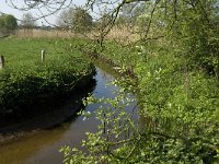 NL, Noord-Brabant, Baarle Nassau, Kromme Hoek 12, Saxifraga-Jan van der Straaten