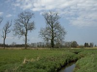 NL, Noord-Brabant, Baarle-Nassau, Halsche Beemden 115, Saxifraga-Willem van Kruijsbergen