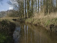 NL, Noord-Brabant, Baarle-Nassau, Halsche Beemden 135, Saxifraga-Willem van Kruijsbergen