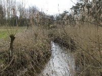 NL, Noord-Brabant, Baarle-Nassau, Halsche Beemden 137, Saxifraga-Willem van Kruijsbergen