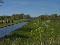 NL, Noord-Brabant, Boxmeer, Molenbeek 3, Saxifraga-Marijke Verhagen