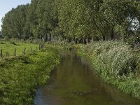 NL, Noord-Brabant, Goirle, Nieuwe Leij 2, Saxifraga-Jan van der Straaten