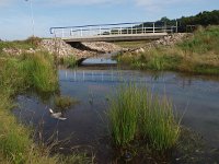 NL, Drenthe, Hoogeveen, Oude Diep 2, Saxifraga-Hans Dekker