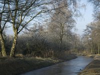 NL, Noord-Brabant, Someren, Peelrijt 8, Saxifraga-Marijke Verhagen