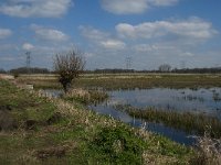 NL, Noord-Brabant, Oisterwijk, Gementsdijk 12, Saxifraga-Jan van der Straaten