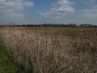 NL, Noord-Brabant, Oisterwijk, Gementsdijk 13, Saxifraga-Jan van der Straaten