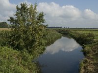 NL, Noord-Brabant, Oisterwijk, Reusel 2, Saxifraga-Jan van der Straaten