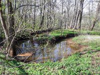 NL, Noord-Brabant, Reusel-De Mierden, Landgoed Wellenseind 10, Saxifraga-Tom Heijnen