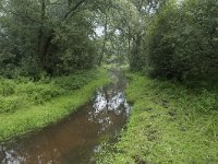 NL, Noord-Brabant, Oisterwijk, Rosep 3, Saxifraga-Willem van Kruijsbergen