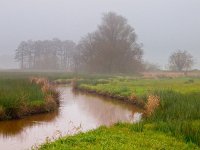 meandering stream  meandering stream on a misty afternoon : Netherlands, agricultural, aparte, atmosfeer, atmosphere, bomen, boom, bos, brown, bruin, country, countryside, creative nature, creek, dageraad, dawn, delen, divide, duck, dusk, eend, field, flowing, fog, gras, grass, green, groen, groningen, haze, holland, humeur, kreek, kronkelende, land, landbouw, landelijk, landscape, landschap, lucht, magical, magische, meander, meandering, mist, misty, mood, moody, natural, nature, natuur, natuurlijk, nederland, nevel, nevelig, platteland, river, rivier, rudmer zwerver, ruiten aa, rural, schemering, seperate, serene, setting, sky, stream, stroom, tree, vegetatie, vegetation, veld, vloeiend, water, westerwolde, woods