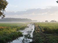 NL, Noord-Brabant, Eersel, Run near Steensel 3, Saxifraga-Tom Heijnen