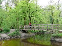 NL, Gelderland, Winterswijk, Bekendelle 4, Saxifraga-Tom Heijnen