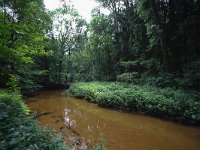 NL, Gelderland, Winterswijk, Boven Slinge 1, Saxifraga-Bart Vastenhouw