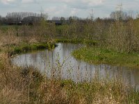 Smalwater, Noord-Brabant